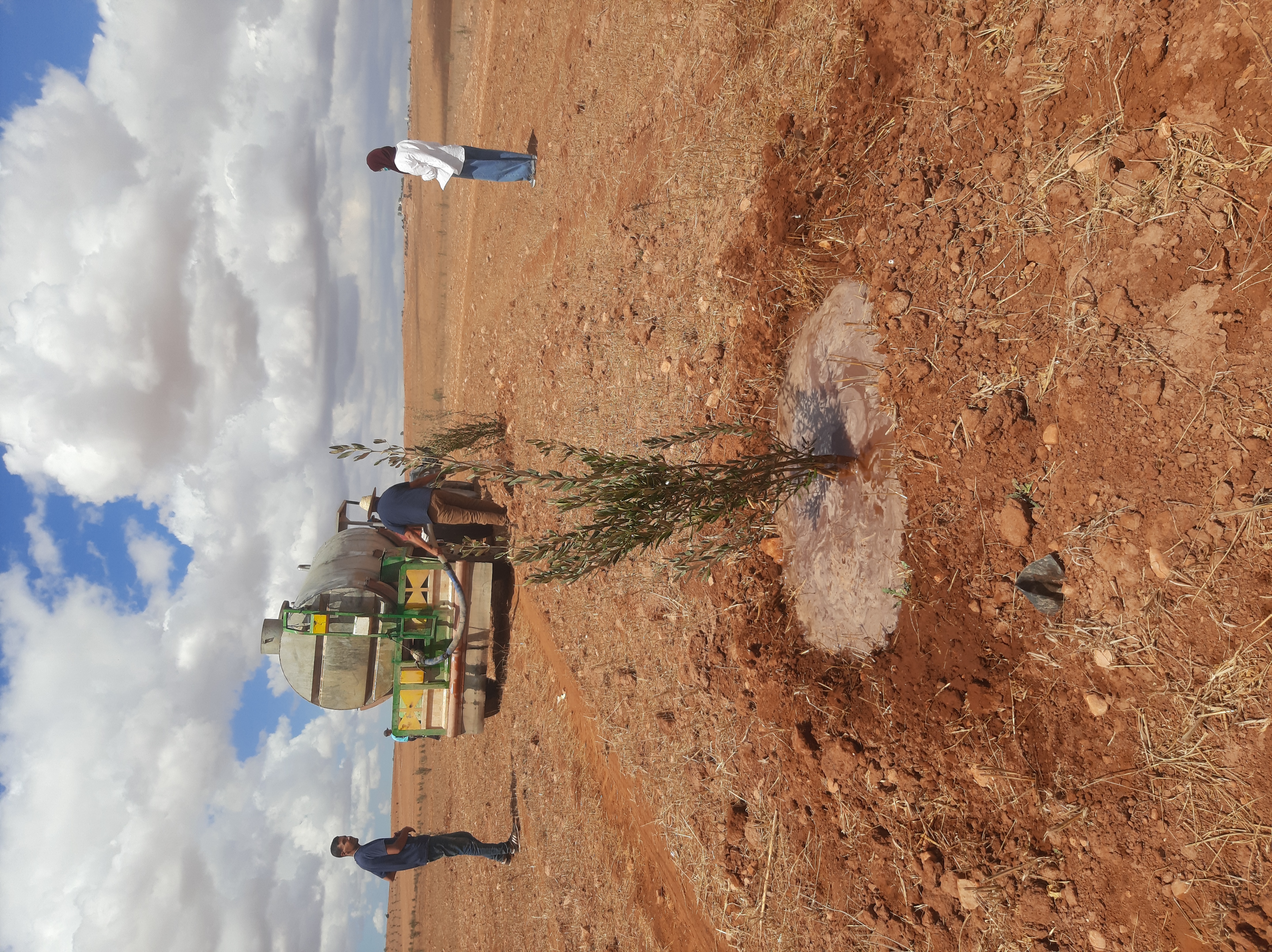 Assistance technique pour la supervision des travaux de plantation dans la zone d’action de la DPA de Safi.