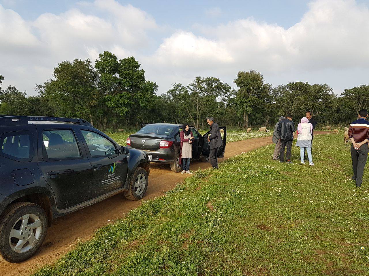 La réalisation des enquêtes occupation du sol et élevage à la région de Rabat Salé Kenitra au profit de la Direction de la Stratégie et des Statistiques du MAPMDREF (Rabat).