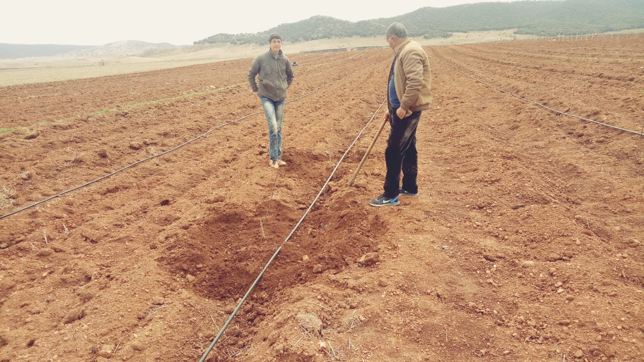 Assistance technique pour le suivi et le contrôle des travaux de plantation de 100 ha de pommier dans la zone d’action de la DPA d’Ifrane, CR Dayet Aoua, Province d’Ifrane