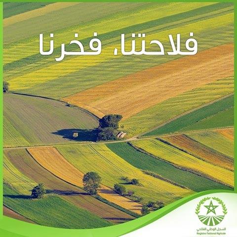 Recensement général de l’agriculture RGA en vue de la création d’un registre national agricole (RNA) pour la zone d’Essaouira-Chichaoua-Marrakech au profit de la Direction de la Stratégie et des Statistiques
