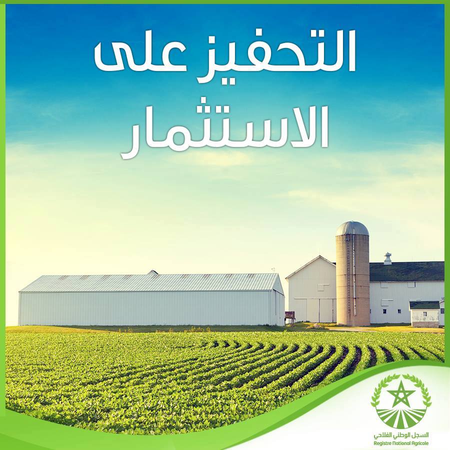 Recensement général de l’agriculture RGA en vue de la création d’un registre national agricole (RNA) pour la zone d’Essaouira-Chichaoua-Marrakech au profit de la Direction de la Stratégie et des Statistiques