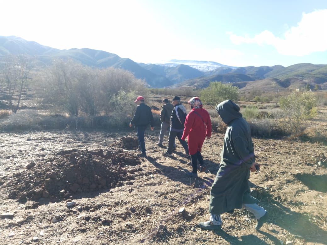 Assistance technique pour la supervision, le suivi, le contrôle des travaux de plantation et l'accompagnement des agriculteurs bénéficiaires dans le cadre des projets pilier 2 relatifs à la reconversion des céréales en olivier sur une superficie de 200 ha dans les CT Bouabout , Bouabout Amedlane et densification de 7000 plants d'olivier à la CT Adassil : Province de Chichaoua