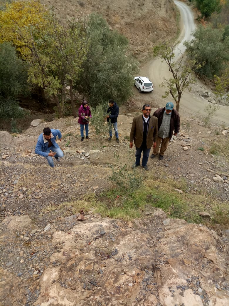 Assistance technique pour la supervision, le suivi, le contrôle des travaux de plantation et l'accompagnement des agriculteurs bénéficiaires dans le cadre des projets pilier 2 relatifs à la reconversion des céréales en olivier sur une superficie de 200 ha dans les CT Bouabout , Bouabout Amedlane et densification de 7000 plants d'olivier à la CT Adassil : Province de Chichaoua
