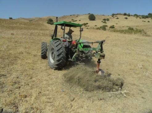  Assistance technique pour le suivi des travaux de plantation dans la zone de l’Office Régional de Mise en Valeur Agricole du Loukkos 