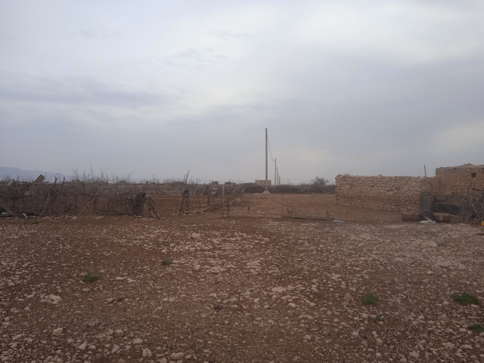 La Réalisation de l’enquête élevage 2ème passage de l’année 2021 au profit de la Direction Régionale de l’Agriculture de Tanger -Tétouan-Al Hoceima