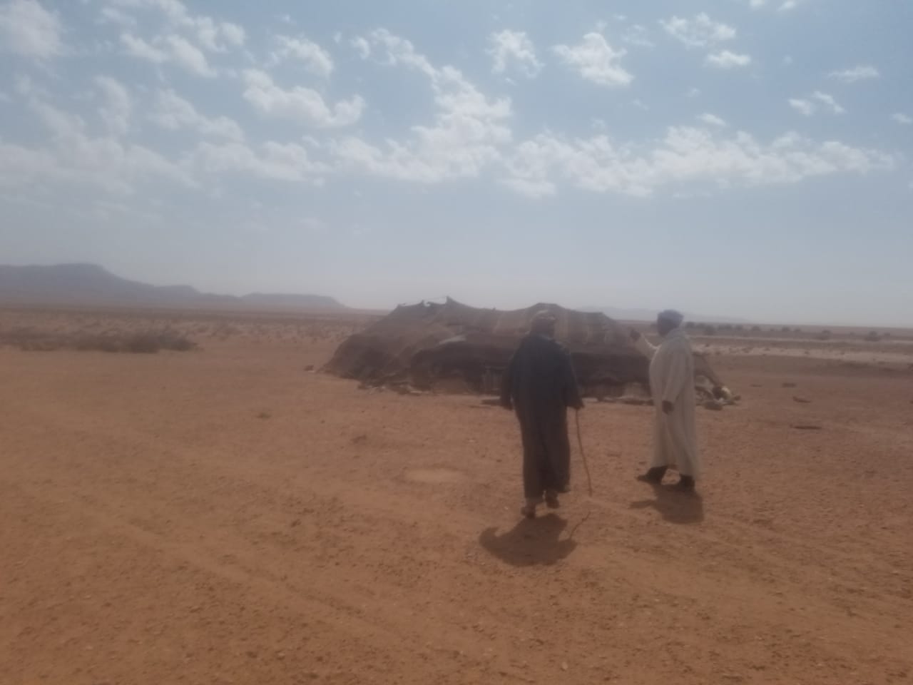 La Réalisation de l’enquête élevage 2ème passage de l’année 2021 au profit de la Direction Régionale de l’Agriculture de Tanger -Tétouan-Al Hoceima