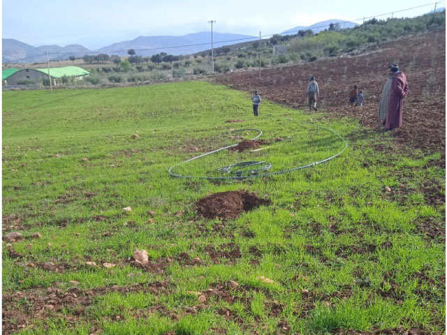 Assistance technique pour la supervision, le suivi et le contrôle des travaux de plantation d'olivier sur une superficie de 400 ha, au niveau des périmètres relevant du Cercle d’El Menzel, Province de Sefrou