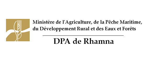 Assistance technique pour la supervision des travaux de plantation de 400 ha d’Atriplex Nummularia dans les communes rurales de la Province de Rhamna