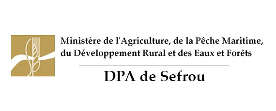 Assistance Technique à la Direction Provinciale de l’Agriculture de Sefrou pour l’achèvement et la durabilité des actions du Programme de Développement Rural des Zones de Montagne (PDRZM)