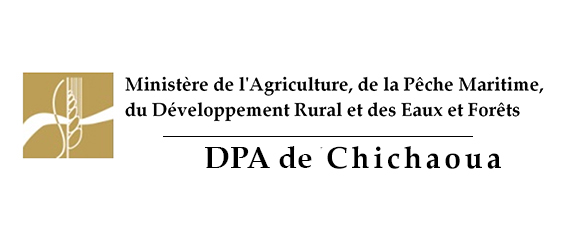Assistance technique pour l’identification et la formalisation des nouveaux projets pilier II au niveau de la zone d’action de la DPA de Chichaoua