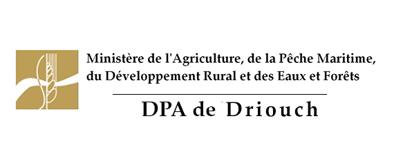 Assistance technique des travaux de création et d’aménagement de points d’eau dans la commune Ouled Boubker, cercle de Driouch, province de Driouch.