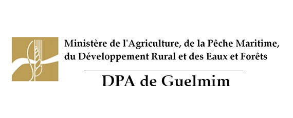 L’assistance Technique pour la supervision et le contrôle des travaux d’aménagements hydro-Agricoles dans la Province de Guelmim