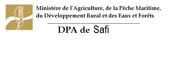 Assistance technique pour la supervision des travaux de plantation dans la zone d’action de la DPA de Safi.