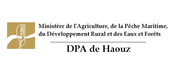 Assistance technique pour la supervision des travaux de plantation d'olivier sur une superficie de 600 Ha dans les communes rurales  (Ait Ourir, Ait Sidi Daoud et Ait Faska) au niveau de la province d'Al Houz.