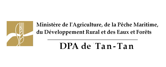Organisation de deux sessions de formation au profit des bénéficiaires du projet de valorisation du couscous et du projet de développement de l’élevage caprin laitier au niveau de la Province de TanTan, dans le cadre du programme pilier II, Plan…
