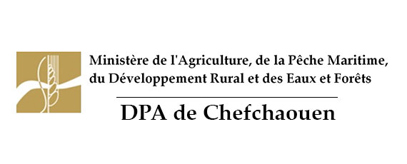 Assistance technique pour le contrôle et le suivi des travaux de plantation d’olivier et pour le renforcement des capacités des bénéficiaires dans la zone d’action de la DPA de Chefchaouen