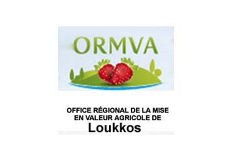 Assistance technique pour le suivi des travaux de plantation dans la zone de l’Office Régional de Mise en Valeur Agricole du Loukkos