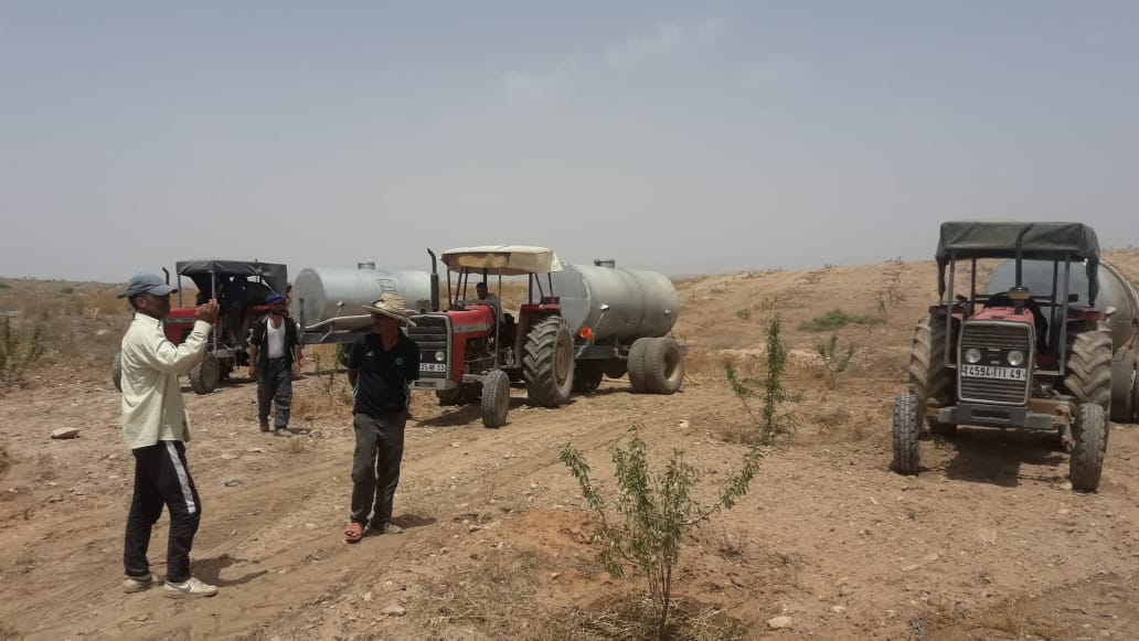 Assistance technique pour la supervision et le contrôle des travaux de plantation d’amandier et l’accompagnement des agriculteurs bénéficiaires dans la zone d’action de la Direction Provinciale de l’Agriculture de Taourirt :
