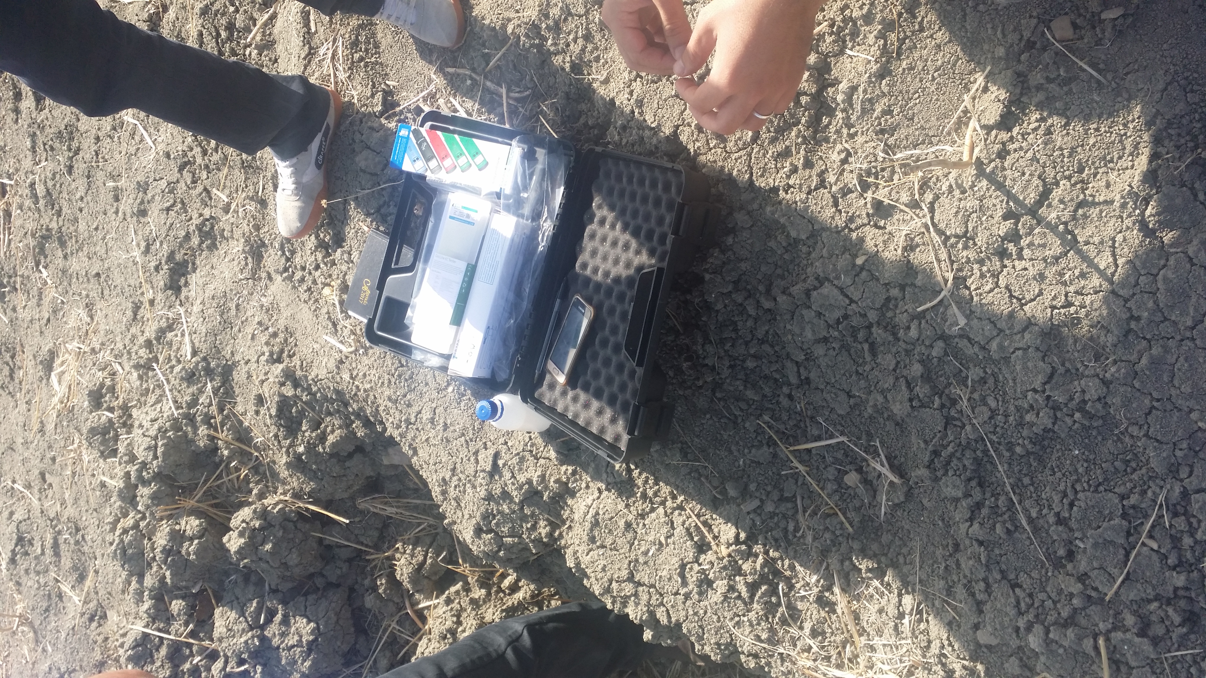 Assistance technique pour le suivi des travaux de plantation de 1700 Ha d’olivier dans la zone d’action de la DPA de Fès