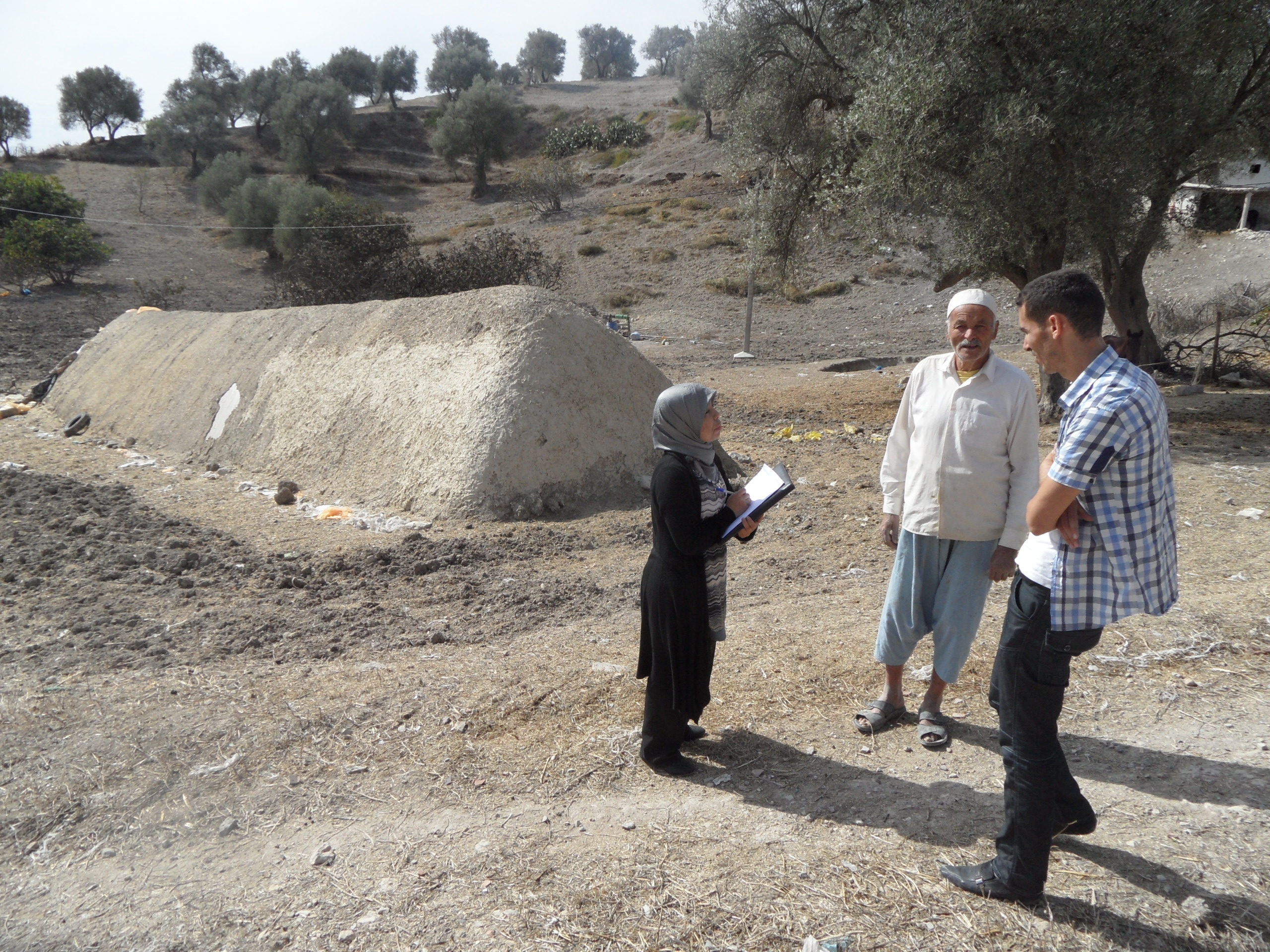 Assistance technique pour la labellisation da la figue de l’MTA « CHAARI » Province de My Yacoub.dans la commune rurale d’Ain Bouali -Province de My yacoub