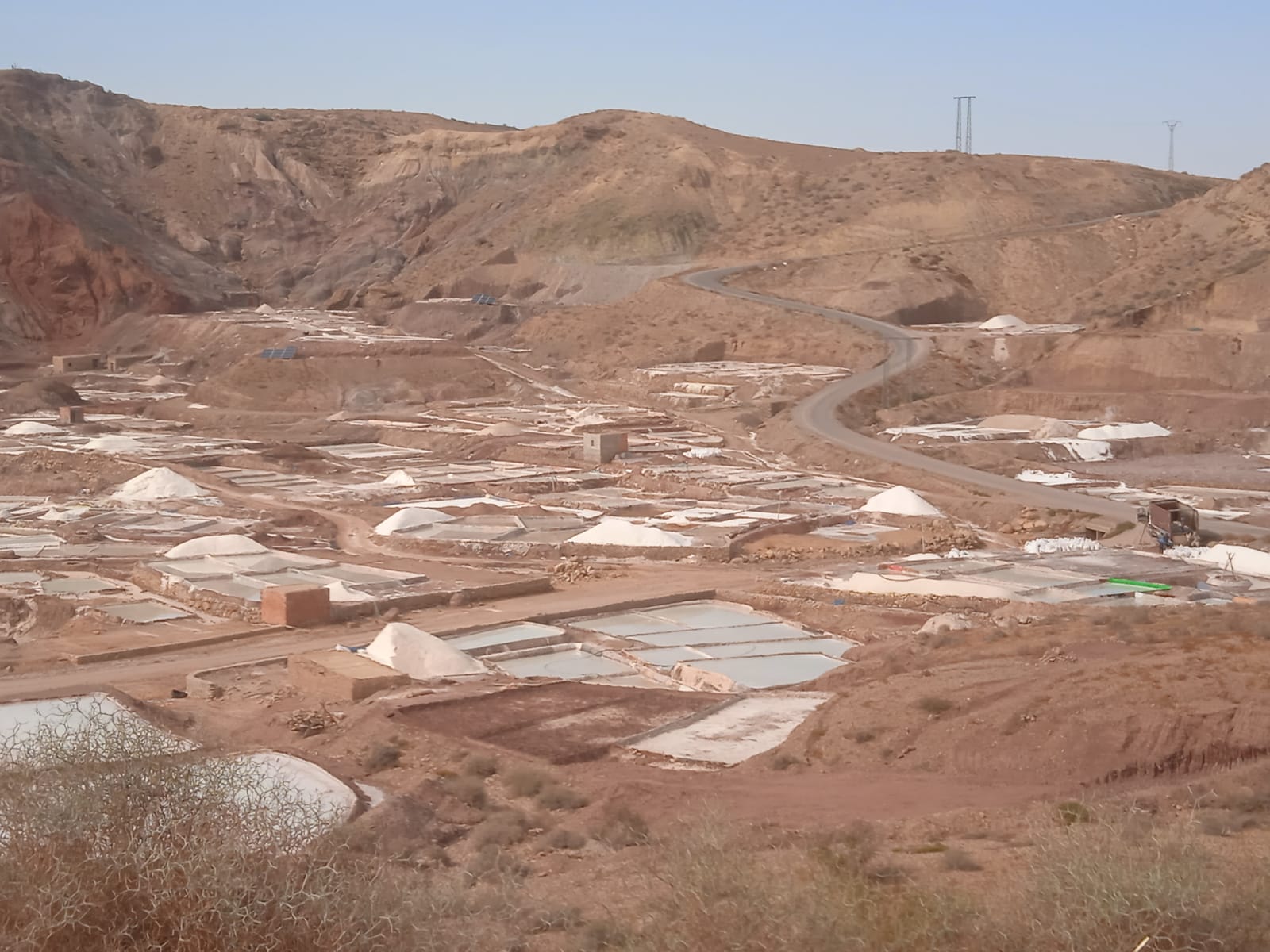  Réalisation de l’enquête Elevage 2ème passage de l’année 2021 dans la région de Souss-Massa au profit de la Direction Régionale de l’Agriculture de SOUSS-MASSA (collecte des données de terrain) en lot unique.
