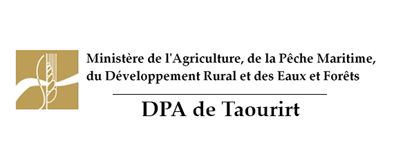 Assistance technique pour la supervision et le contrôle des travaux de plantation d’amandier et l’accompagnement des agriculteurs bénéficiaires dans la zone d’action de la Direction Provinciale de l’Agriculture de Taourirt 
