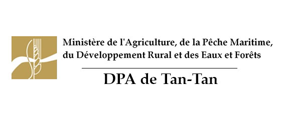 Assistance Technique pour l’accompagnement des bénéficiaires du projet de l’intensification de production de miel pour le développement de l’Apiculture au niveau de la Province de TanTan, dans le cadre du programme pilier II, Plan Maroc Vert