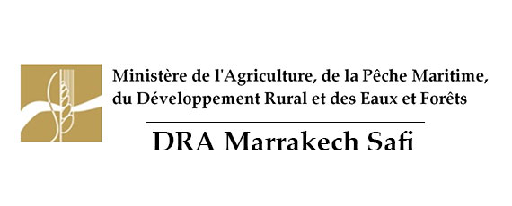 La Réalisation de l'enquête Elevage de l'année 2022 au profit de la Direction Régionale de l'Agriculture de Marrakech-Safi (DRAMS)