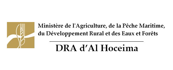 Assistance technique pour la caractérisation et labellisation du Petit Pois d’Aït kamra en tant que produit de terroir dans la province d’Al Hoceima.