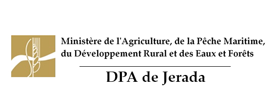 Etude de faisabilité de la création d’unités de production d’orge hydroponique dans la province de Jerada