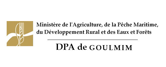 L’assistance Technique pour la supervision et le contrôle des travaux d’aménagements hydro-Agricoles dans la Province de Guelmim.