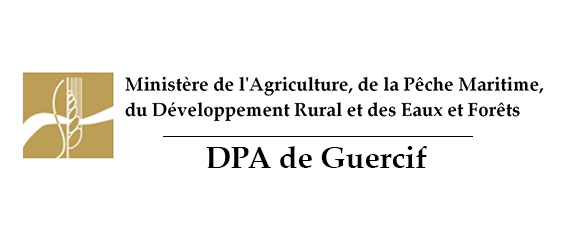 Assistance technique à la maitrise d’œuvre des études techniques et des travaux d’aménagement hydro-agricole dans la zone d’action de la Direction Provinciale de l’Agriculture de Guercif