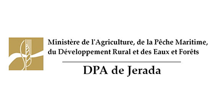 Assistance technique pour la supervision et le suivi des travaux des aménagements hydro-agricoles des périmètres irrigués dans la zone d’action de la DPA de Jerada