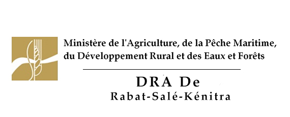 Réalisation de l’enquête rendement objectif communal des céréales, légumineuses et oléagineuses de l’année 2022 au profit de la Direction Régionale de l’Agriculture de Rabat- Salé -Kenitra.