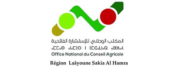 Formation au profit des agriculteurs, filles et des fils d’agriculteurs de la région Laâyoune Sakia Al Hamra