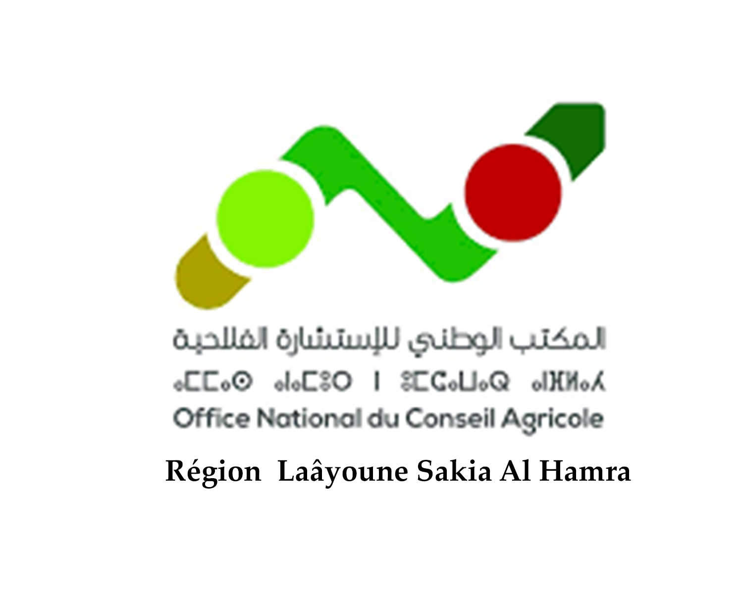 Formation au profit des agriculteurs, filles et des fils d’agriculteurs de la région Laâyoune Sakia Al Hamra